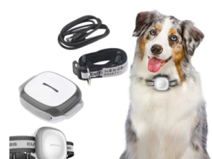 Dog and Cat Locator: Keep an Eye on Your Pet!