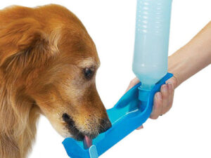 250ml collapsible dog and cat water bottle