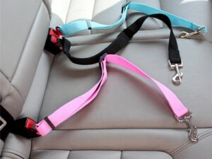 Adjustable dog seat belt