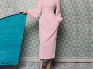 Women's Solid Color Bodycon Long Dress - Shoppydeals