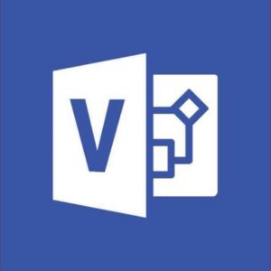 Microsoft Visio Professional 2019 1 licence(s) Allemand D87-07435