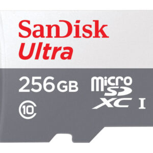 SanDisk Ultra Lite microSDXC Ad. 256GB 100MB/s SDSQUNR-256G-GN6TA