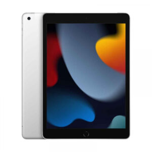 Apple iPad 10.2 WiFi und Cell 9.Gen 256GB Silber – MK4H3FD/A