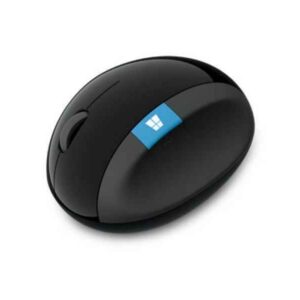 Microsoft Sculpt Ergonomic Mouse for Business souris RF sans fil Droitier Noir 5LV-00002