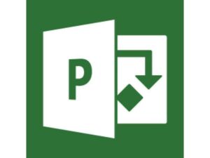 Microsoft Project 2019 1 licence(s) Allemand 076-05798