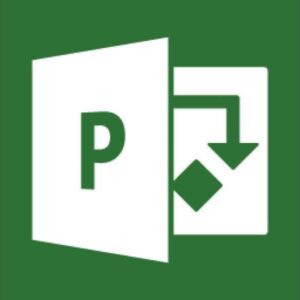 Microsoft Project 2019 1 licence(s) Allemand 076-05798