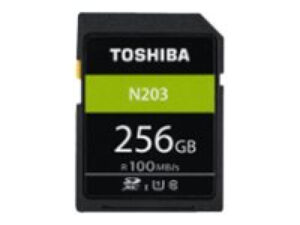 Toshiba Carte SD Exceria R100 N203 256GB THN-N203N2560E4