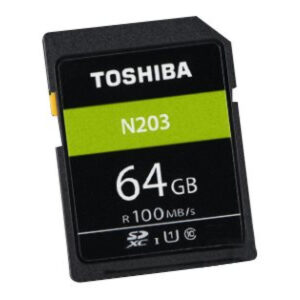 Toshiba Carte SD Exceria R100 N203 64GB  THN-N203N0640E4
