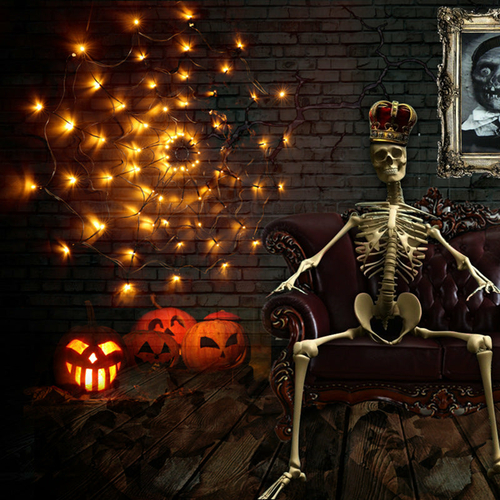 Guirlande Lumineuse Led Toile d’Araignée 5v Télécommande Halloween - Shoppydeals
