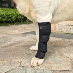 Cani Proteggi gambe ferite Gambali Bende Proteggi Cuscinetto Aiuta a guarire ferite e lesioni Compressione del cane posteriore 1.jpg 640x640 1