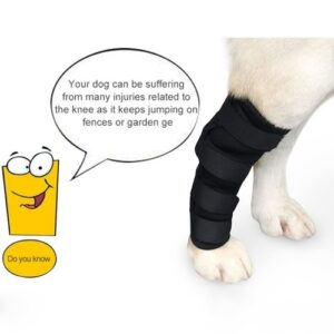 Cani Proteggi gambe ferite Gambali Bende Proteggi Cuscinetto Aiuta a guarire ferite e lesioni Compressione del cane posteriore 2.jpg 640x640 2