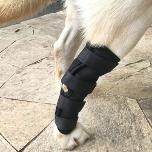 Cani Proteggi gambe ferite Gambali Bende Proteggi Cuscinetto Aiuta a guarire ferite e lesioni Compressione del cane posteriore 4.jpg 640x640 4