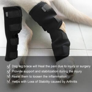 Cani Protezione per le gambe ferite Gambali Bende Proteggi Cuscinetto Aiuta a guarire ferite e lesioni Compressione del cane posteriore 5.jpg 640x640 5