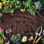 Gardena : la solution idéale pour une irrigation automatique de votre jardin !